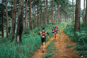 BIB: 
                            <button type="button" onclick="openModal(25663769)" class="btn btn-primary btn-sm float-right btn-popup" data-toggle="modal" data-target=".modal-high-quality">
                        <i class="fas fa-shopping-cart"></i> Add to Cart
                    </button>
                                            <button type="button" onclick="isThisMe(25663769, true)" class="btn btn-success btn-sm float-right btn-popup btn-isme hidden" data-toggle="tooltip" data-placement="bottom" title="นี่คือรูปของคุณใช่ไหม คลิกที่นี่เพื่อเอาเข้าอัลบั้ม">
                        <i class="fas fa-plus"></i> Add to album
                    </button>
                    <button type="button" onclick="isThisMe(25663769, false)" class="btn btn-warning btn-sm float-right btn-popup btn-isnotme hidden">
                        <i class="fas fa-ban"></i> Remove from album
                    </button>